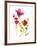 Flower Garden II-Sandra Jacobs-Framed Giclee Print