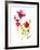 Flower Garden II-Sandra Jacobs-Framed Giclee Print