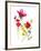 Flower Garden II-Sandra Jacobs-Framed Giclee Print