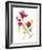 Flower Garden II-Sandra Jacobs-Framed Art Print