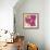 Flower Garden II-Sasha Blake-Framed Giclee Print displayed on a wall