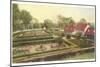 Flower Garden, Mt. Vernon, Virginia-null-Mounted Art Print