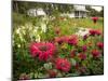 Flower Garden, Oakland House Seaside Resort, Brooksville-Jerry & Marcy Monkman-Mounted Photographic Print