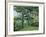 Flower Garden Pond-null-Framed Art Print