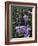 Flower Garden, Stockbridge, Berkshires, Massachusetts, USA-Lisa S. Engelbrecht-Framed Photographic Print