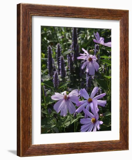 Flower Garden, Stockbridge, Berkshires, Massachusetts, USA-Lisa S. Engelbrecht-Framed Photographic Print