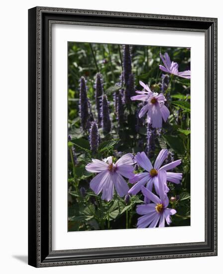 Flower Garden, Stockbridge, Berkshires, Massachusetts, USA-Lisa S. Engelbrecht-Framed Photographic Print