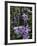 Flower Garden, Stockbridge, Berkshires, Massachusetts, USA-Lisa S. Engelbrecht-Framed Photographic Print