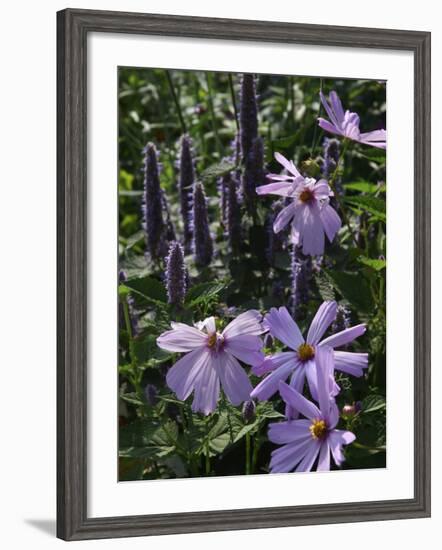 Flower Garden, Stockbridge, Berkshires, Massachusetts, USA-Lisa S. Engelbrecht-Framed Photographic Print