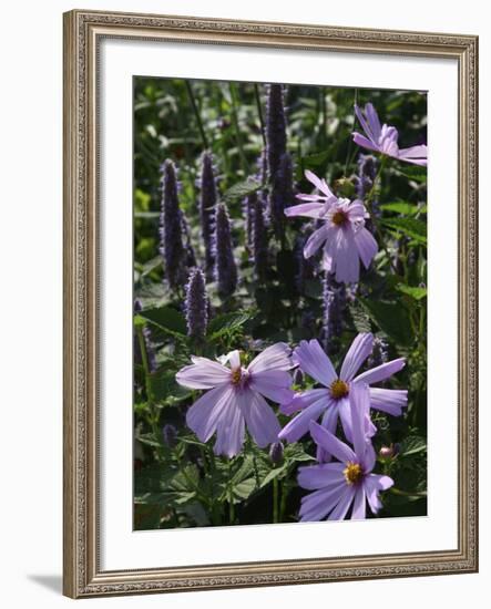 Flower Garden, Stockbridge, Berkshires, Massachusetts, USA-Lisa S. Engelbrecht-Framed Photographic Print