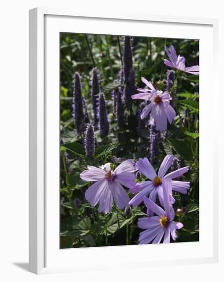 Flower Garden, Stockbridge, Berkshires, Massachusetts, USA-Lisa S. Engelbrecht-Framed Photographic Print