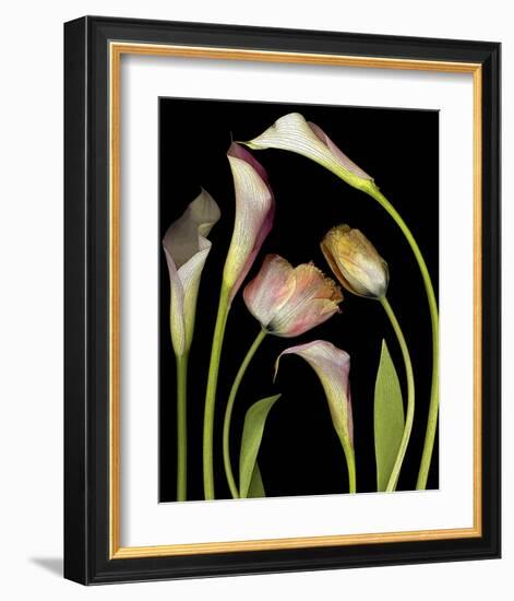 Flower Garden Tulips & Callas-null-Framed Art Print