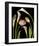 Flower Garden Tulips & Callas-null-Framed Art Print