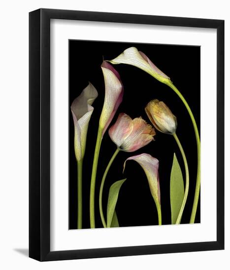 Flower Garden Tulips & Callas--Framed Art Print