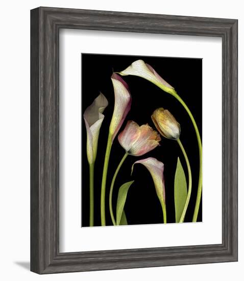 Flower Garden Tulips & Callas-null-Framed Art Print