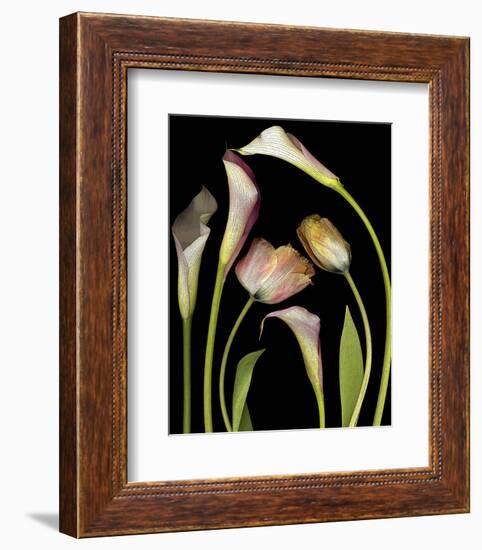 Flower Garden Tulips & Callas-null-Framed Art Print