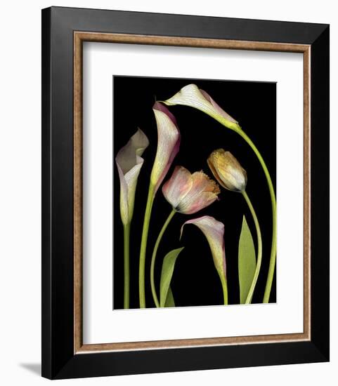 Flower Garden Tulips & Callas-null-Framed Art Print