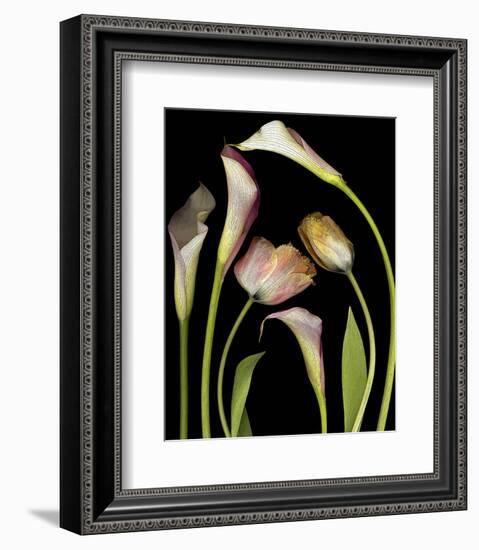 Flower Garden Tulips & Callas-null-Framed Art Print