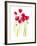 Flower Garden V-Sandra Jacobs-Framed Giclee Print