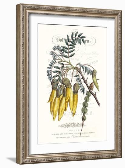 Flower Garden Varietals III-Vision Studio-Framed Art Print