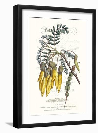 Flower Garden Varietals III-Vision Studio-Framed Art Print