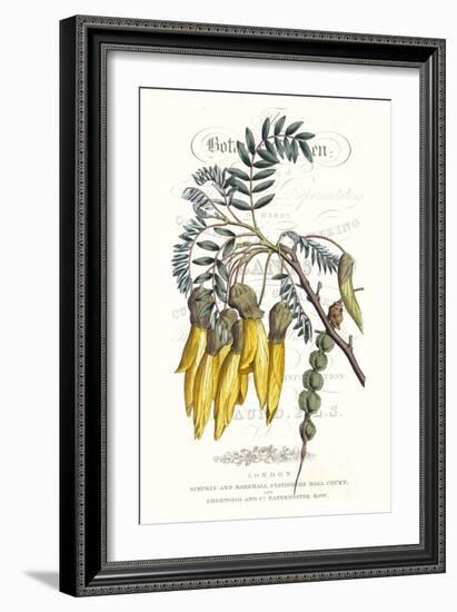 Flower Garden Varietals III-Vision Studio-Framed Art Print