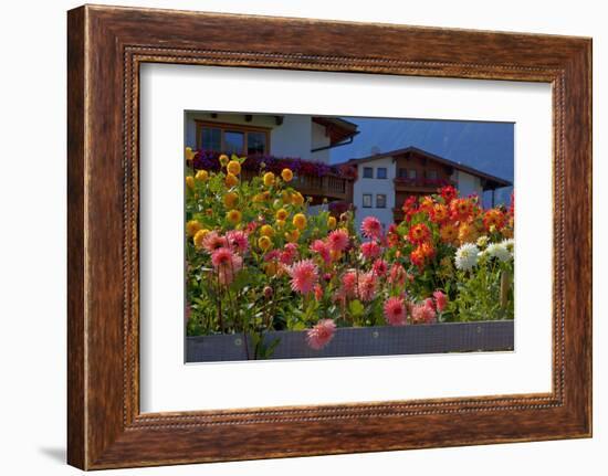 Flower-Garden with Dahlias-Ludwig Mallaun-Framed Photographic Print