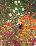 Flower Garden-Gustav Klimt-Framed Textured Art