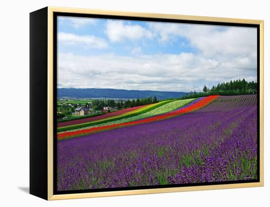 Flower Garden-null-Framed Premier Image Canvas