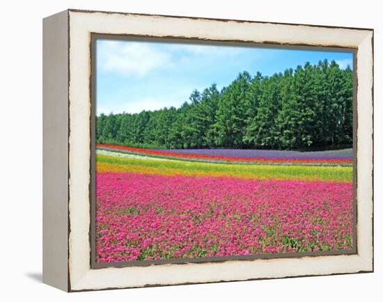 Flower Garden-null-Framed Premier Image Canvas
