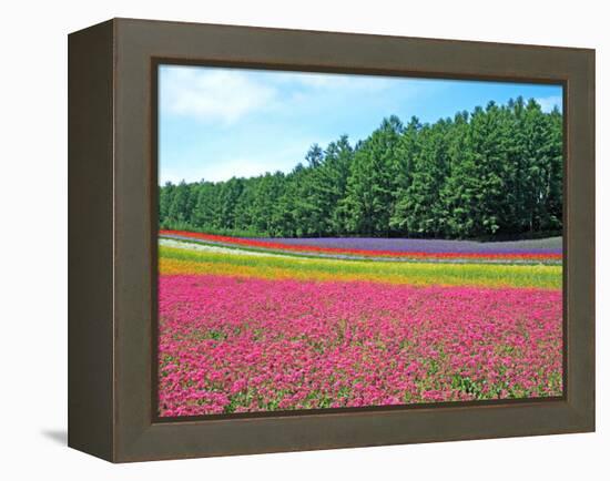 Flower Garden-null-Framed Premier Image Canvas