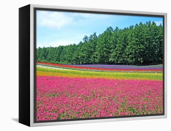 Flower Garden-null-Framed Premier Image Canvas