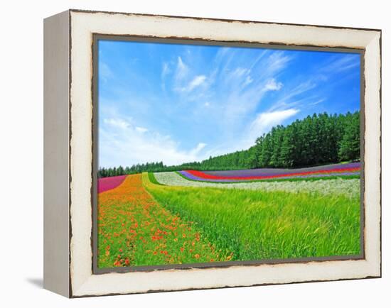 Flower Garden-null-Framed Premier Image Canvas