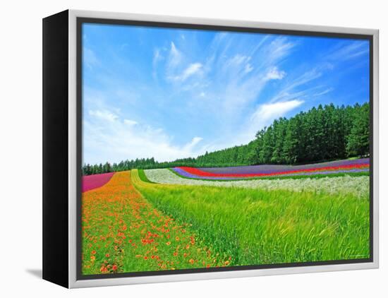 Flower Garden-null-Framed Premier Image Canvas