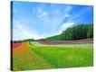 Stretched Canvas Print