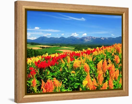 Flower Garden-null-Framed Premier Image Canvas