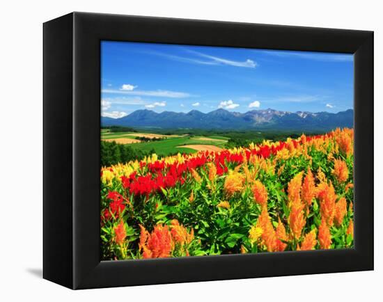 Flower Garden-null-Framed Premier Image Canvas