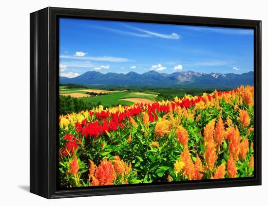 Flower Garden-null-Framed Premier Image Canvas