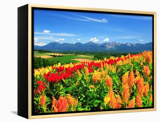 Flower Garden-null-Framed Premier Image Canvas