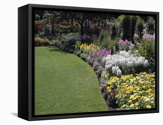 Flower Garden-null-Framed Premier Image Canvas