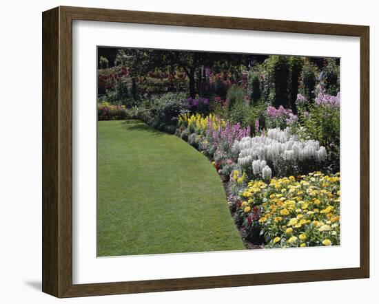 Flower Garden-null-Framed Photographic Print