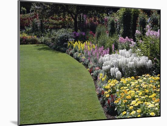 Flower Garden-null-Mounted Photographic Print