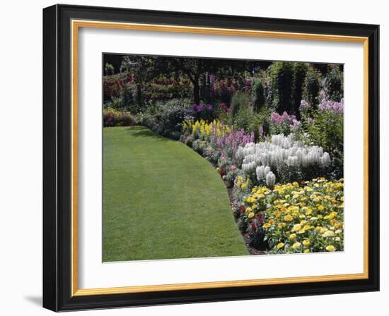 Flower Garden-null-Framed Photographic Print