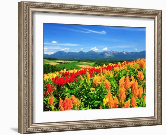 Flower Garden-null-Framed Photographic Print