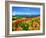 Flower Garden-null-Framed Photographic Print