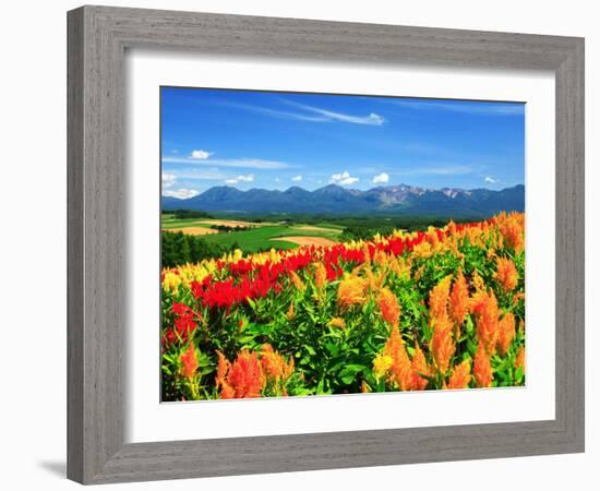 Flower Garden-null-Framed Photographic Print