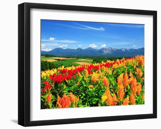 Flower Garden-null-Framed Photographic Print