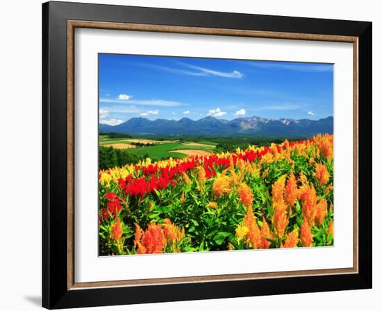 Flower Garden-null-Framed Photographic Print