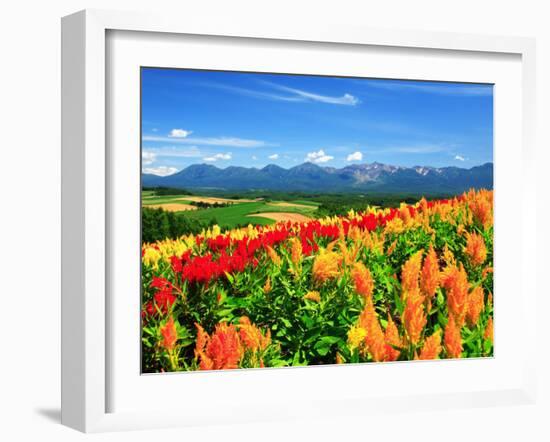 Flower Garden-null-Framed Photographic Print