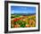 Flower Garden-null-Framed Photographic Print